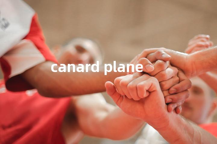 canard plane单词图解，单词释义场景配图