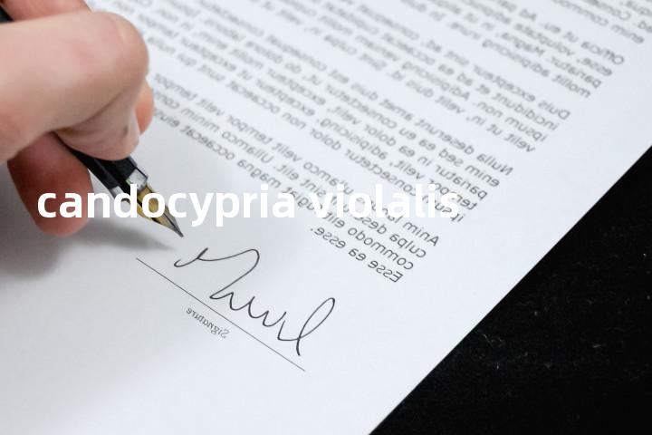 candocypria violalis单词图解，单词释义场景配图