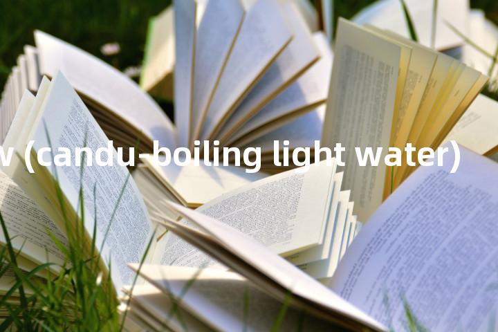candu-blw (candu-boiling light water)单词图解，单词释义场景配图