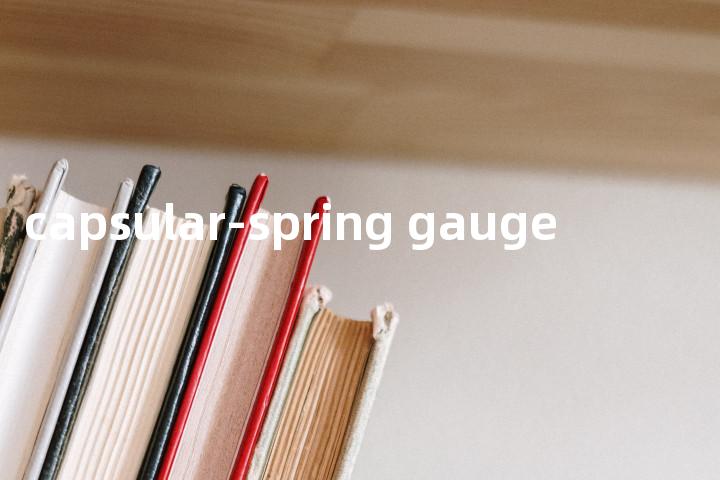 capsular-spring gauge单词图解，单词释义场景配图