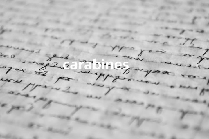 carabines单词图解，单词释义场景配图