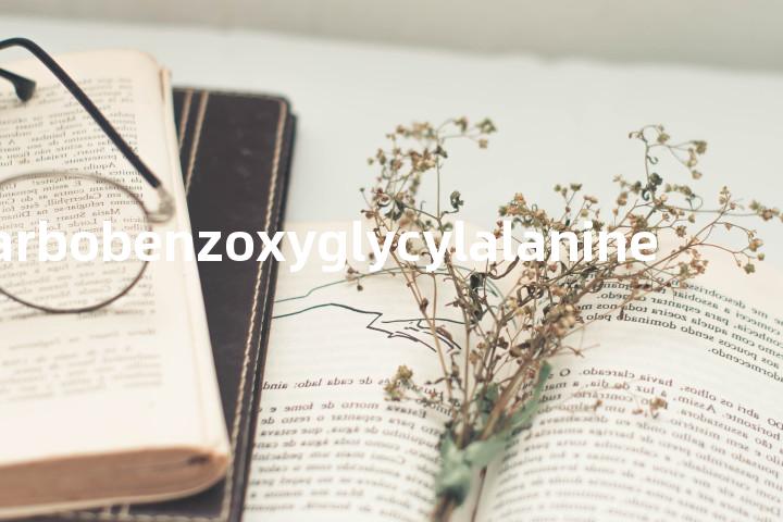 carbobenzoxyglycylalanine单词图解，单词释义场景配图
