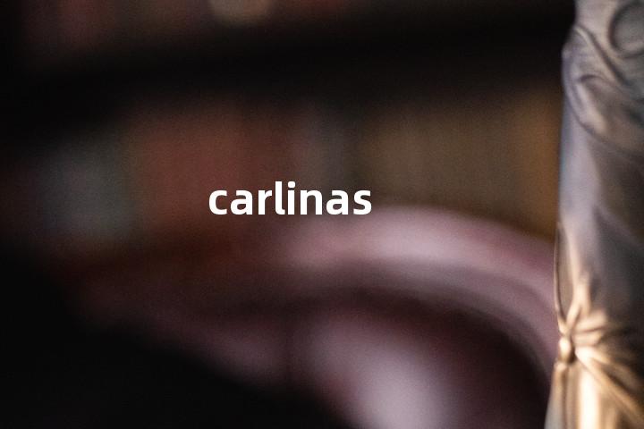carlinas单词图解，单词释义场景配图