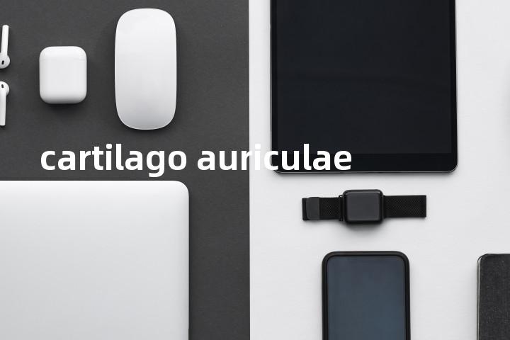 cartilago auriculae单词图解，单词释义场景配图