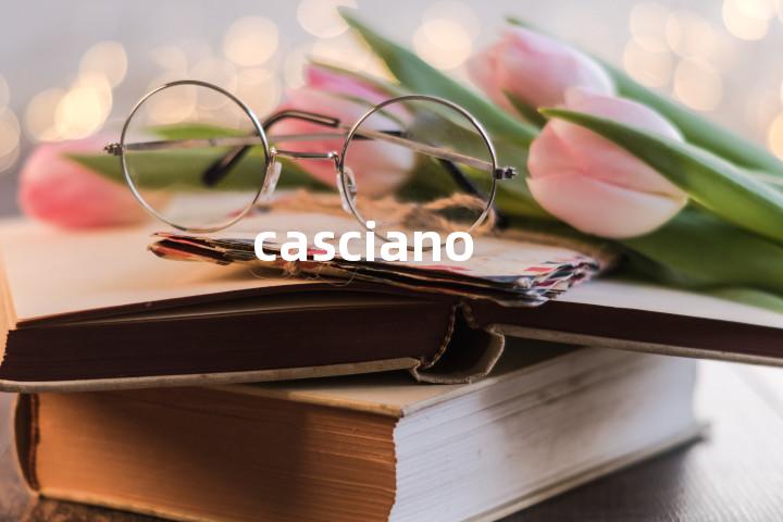 casciano单词图解，单词释义场景配图