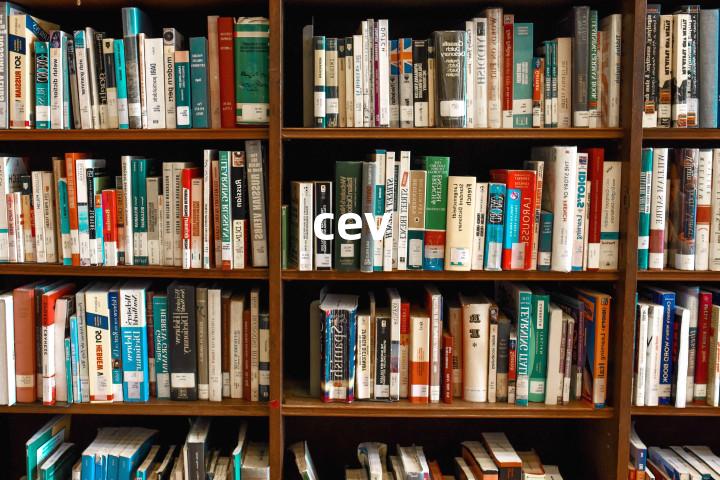cev单词图解，单词释义场景配图