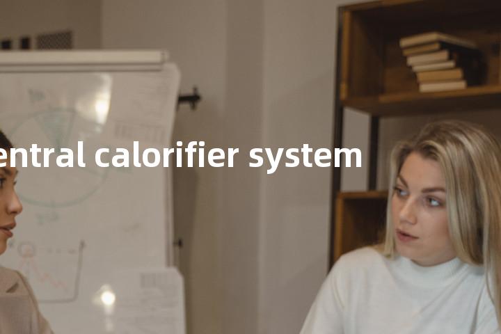 central calorifier system单词图解，单词释义场景配图