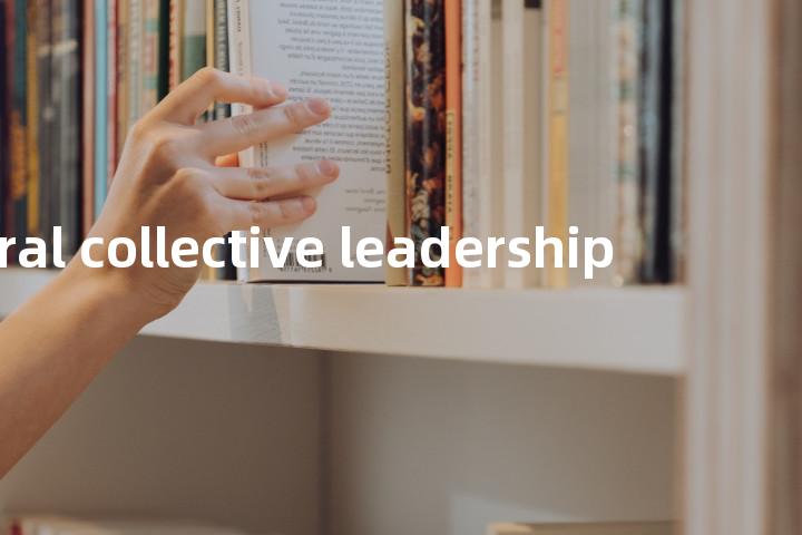 central collective leadership单词图解，单词释义场景配图