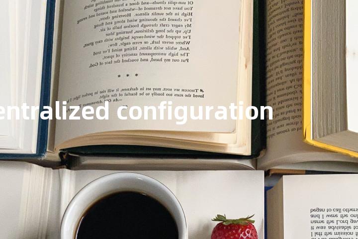 centralized configuration单词图解，单词释义场景配图