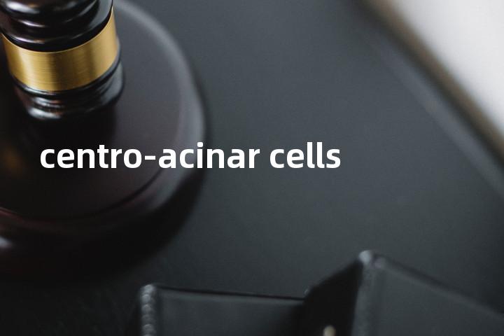 centro-acinar cells单词图解，单词释义场景配图