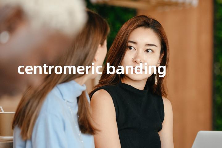 centromeric banding单词图解，单词释义场景配图