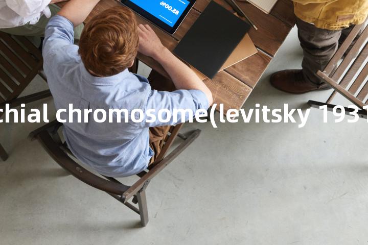 cephalobrachial chromosome(levitsky 1931)单词图解，单词释义场景配图