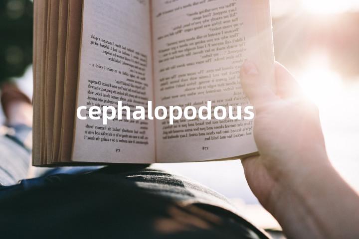 cephalopodous单词图解，单词释义场景配图