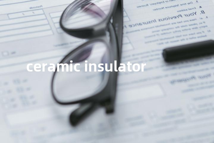 ceramic insulator单词图解，单词释义场景配图
