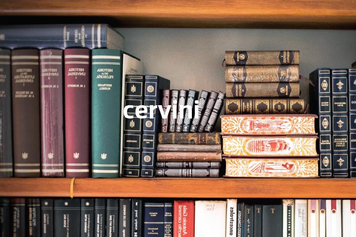 cervini单词图解，单词释义场景配图