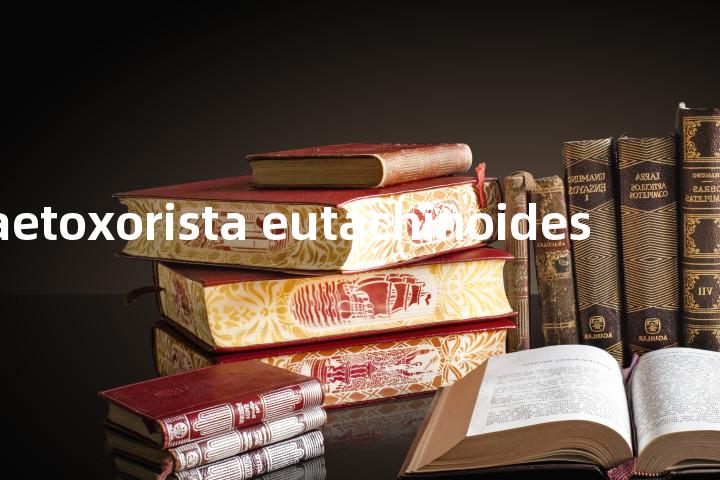 chaetoxorista eutachinoides单词图解，单词释义场景配图