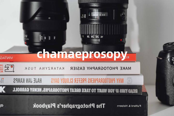 chamaeprosopy单词图解，单词释义场景配图