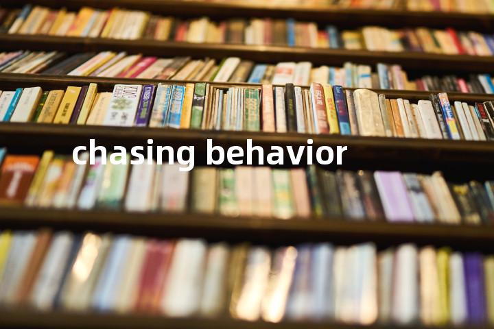 chasing behavior单词图解，单词释义场景配图