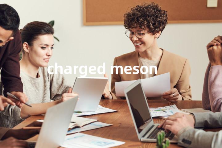 charged meson单词图解，单词释义场景配图