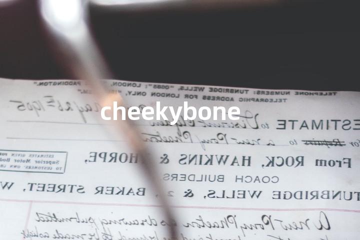 cheekybone单词图解，单词释义场景配图