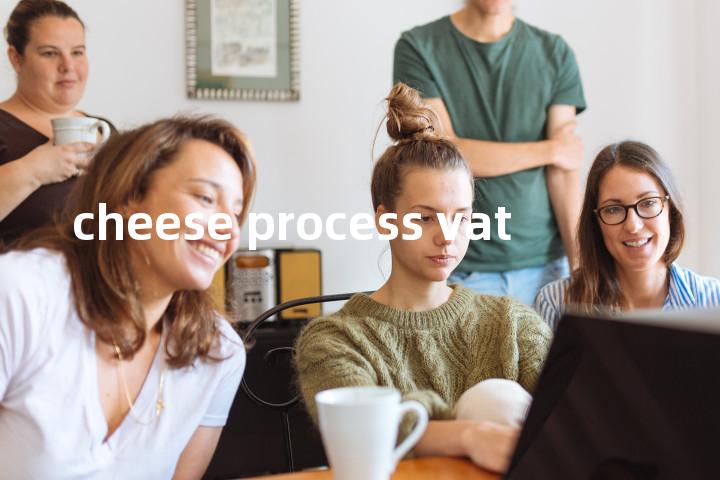 cheese process vat单词图解，单词释义场景配图