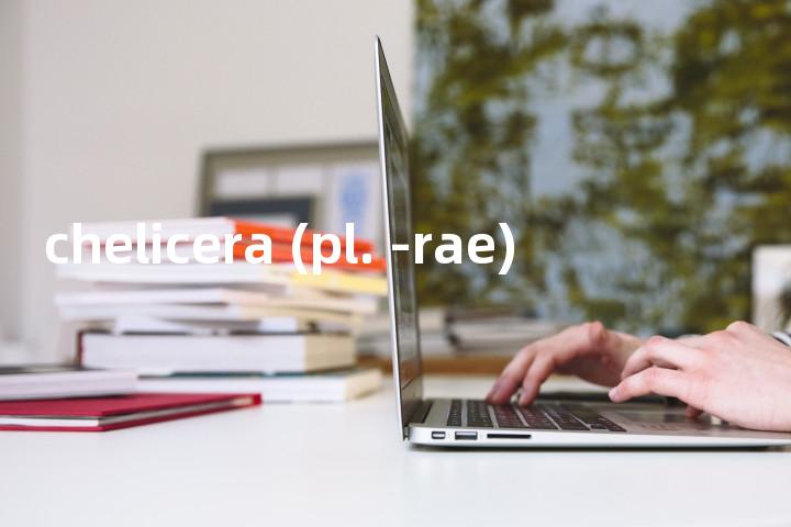 chelicera (pl. -rae)单词图解，单词释义场景配图