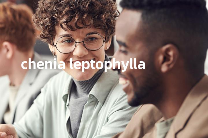chenia leptophylla单词图解，单词释义场景配图