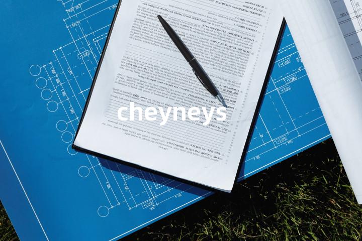 cheyneys单词图解，单词释义场景配图