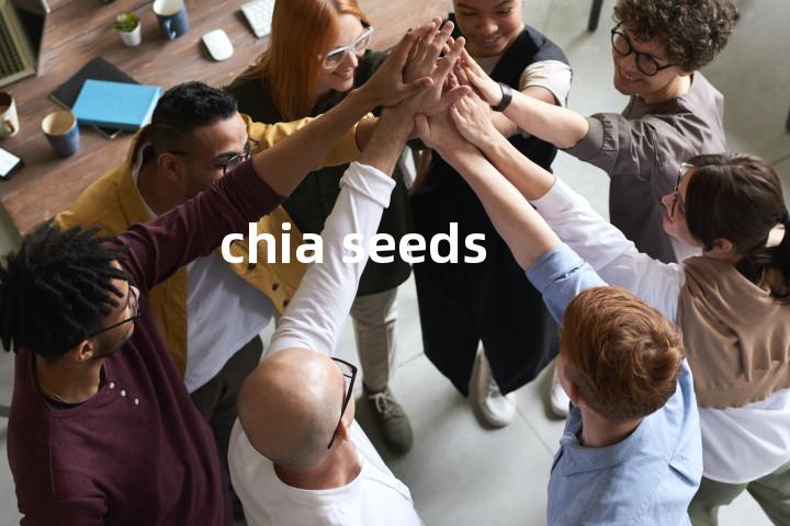 chia seeds单词图解，单词释义场景配图