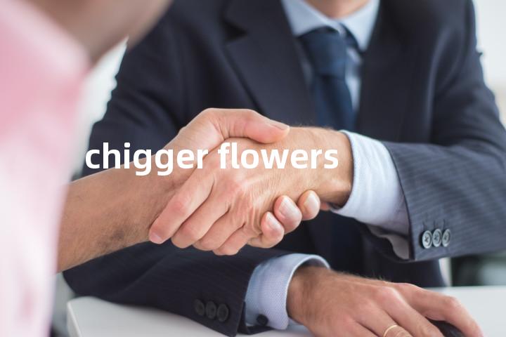 chigger flowers单词图解，单词释义场景配图