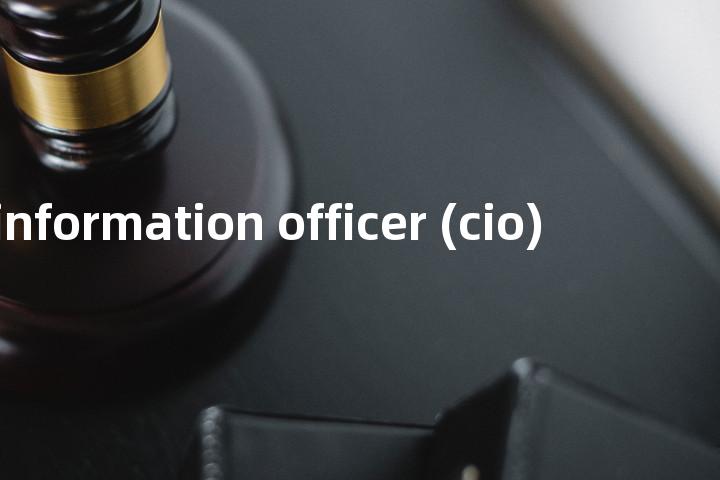 chief information officer (cio)单词图解，单词释义场景配图