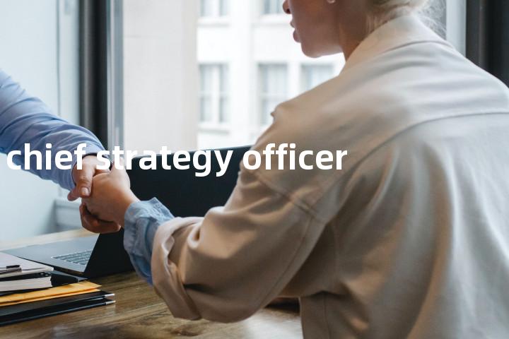 chief strategy officer单词图解，单词释义场景配图