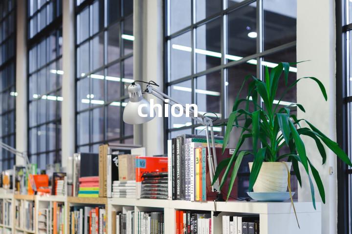 chion单词图解，单词释义场景配图