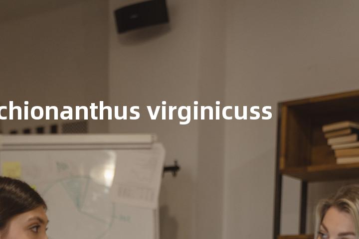 chionanthus virginicuss单词图解，单词释义场景配图