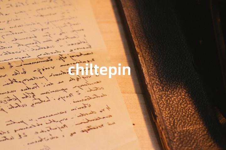 chiltepin单词图解，单词释义场景配图