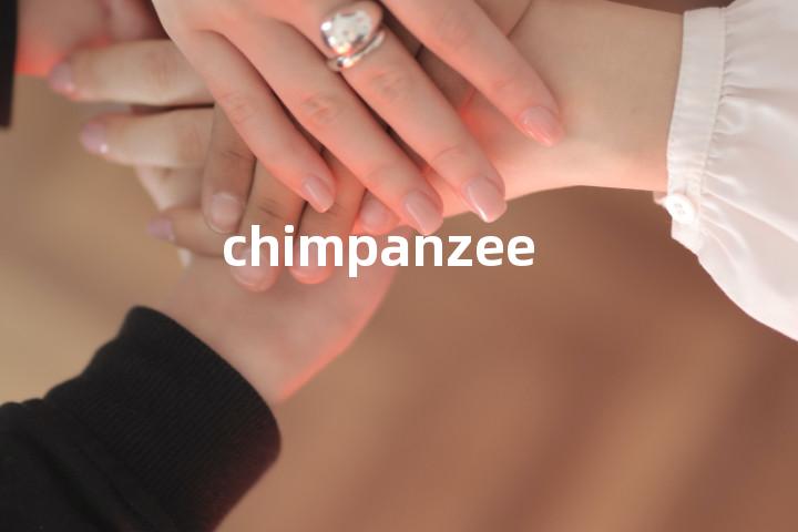 chimpanzee