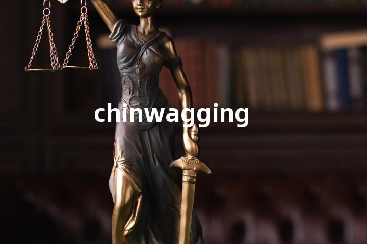 chinwagging单词图解，单词释义场景配图