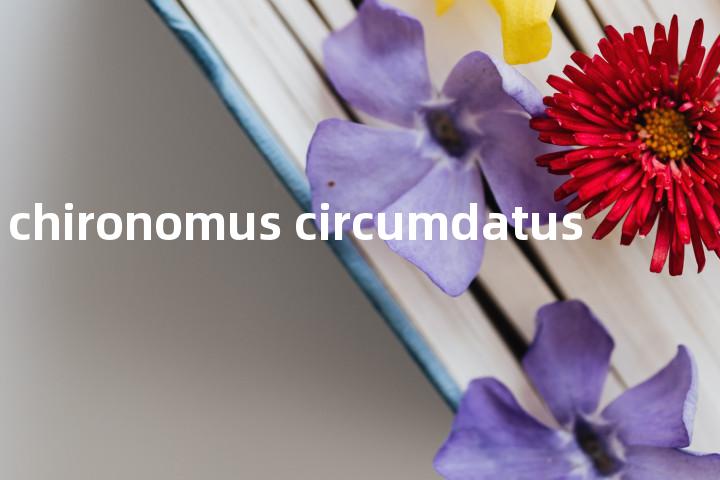 chironomus circumdatus单词图解，单词释义场景配图