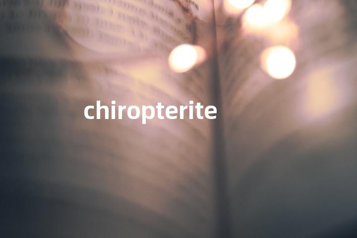 chiropterite单词图解，单词释义场景配图