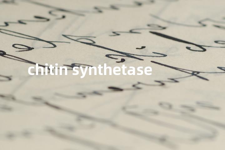 chitin synthetase单词图解，单词释义场景配图