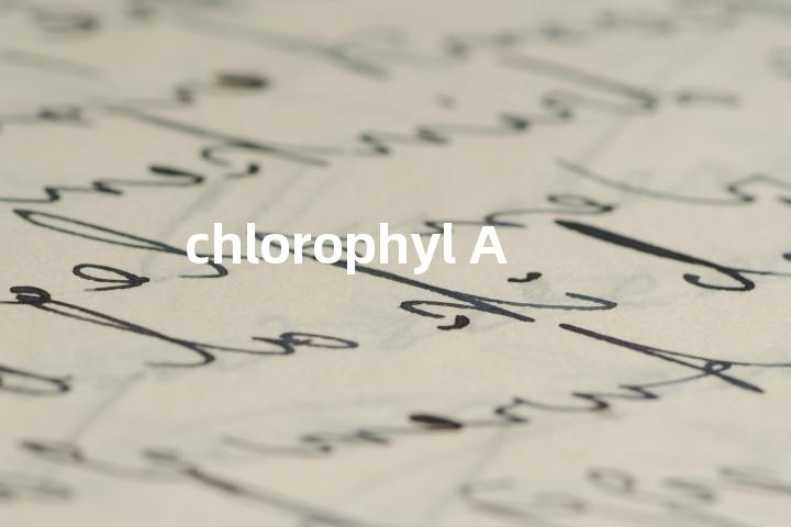 chlorophyl A单词图解，单词释义场景配图
