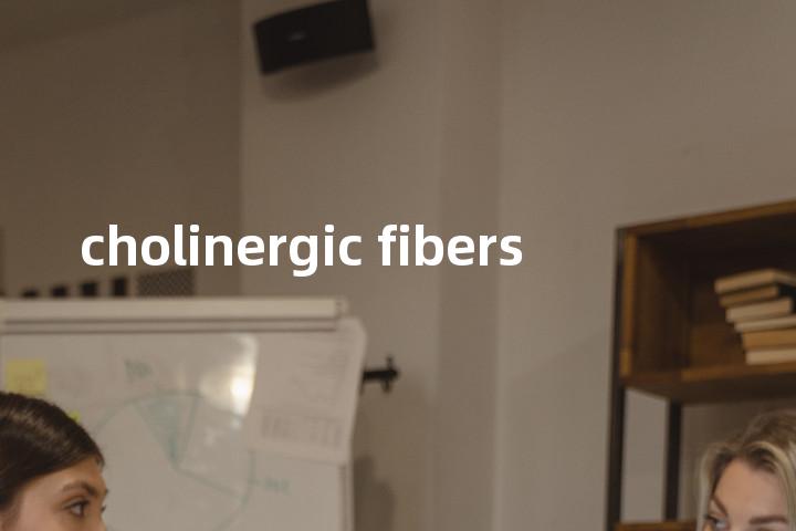 cholinergic fibers单词图解，单词释义场景配图