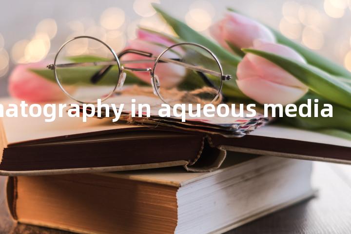chromatography in aqueous media单词图解，单词释义场景配图
