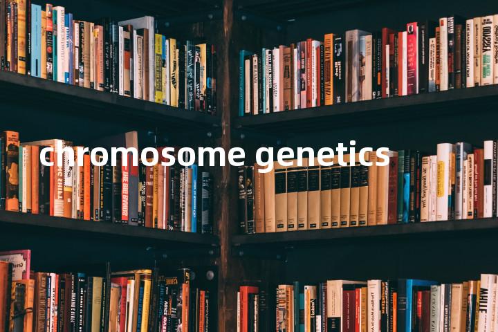 chromosome genetics单词图解，单词释义场景配图