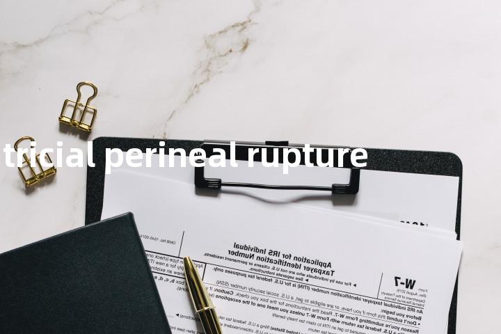 cicatricial perineal rupture单词图解，单词释义场景配图