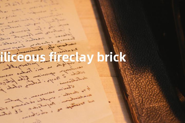 ciliceous fireclay brick单词图解，单词释义场景配图