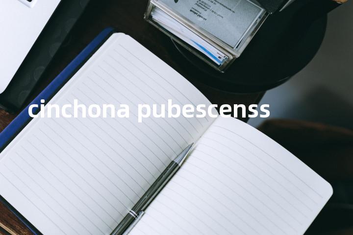 cinchona pubescenss单词图解，单词释义场景配图