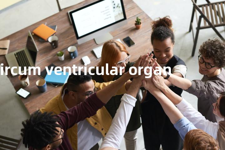 circum ventricular organ单词图解，单词释义场景配图