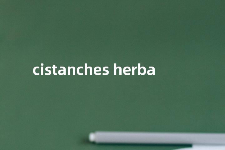 cistanches herba单词图解，单词释义场景配图