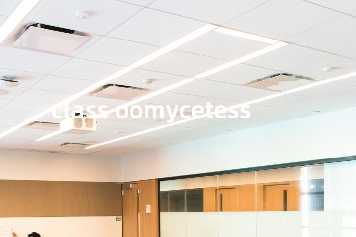 class oomycetess单词图解，单词释义场景配图